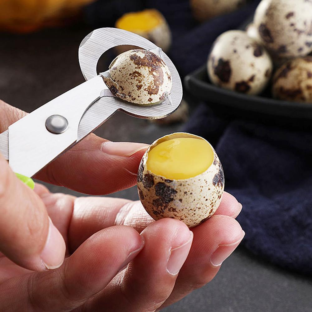 Egg Separator Tool - Pigeon Quail Open Crack Small Egg